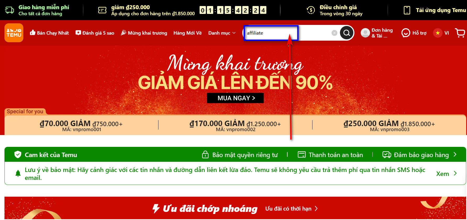 Truy cập Affiliate Program Temu