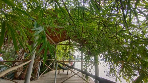 Kết nối thiên nhiên - kết nối tâm hồn