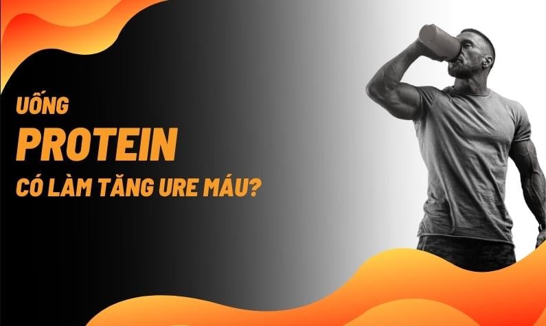 Uống protein có làm tăng ure máu không? Mối quan hệ và quản lý protein