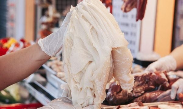 Cách chọn mua sách bò ngon, trắng giòn không hôi