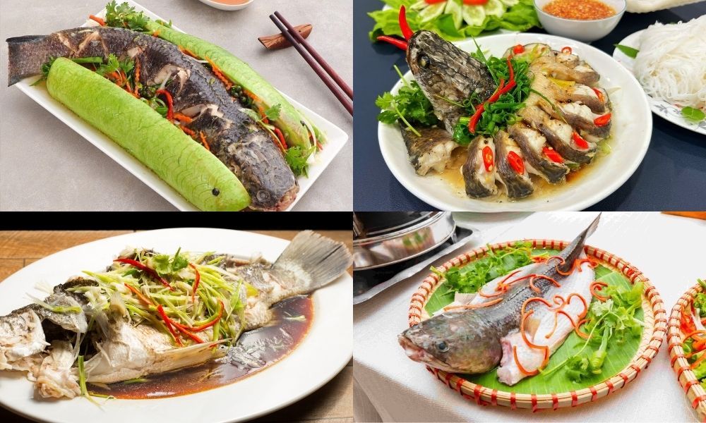 Tổng hợp 15 cách làm cá lóc hấp đơn giản, giữ trọn vị ngọt