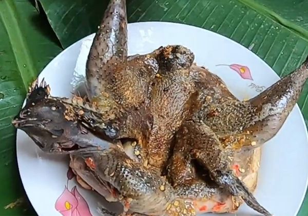 Gà ác nướng muối ớt vị cay đậm đà cho ngày se lạnh