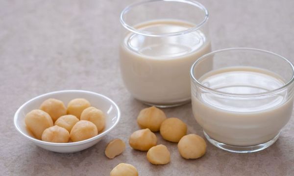Cách làm sữa hạt macca béo ngậy, thơm ngon, bổ dưỡng