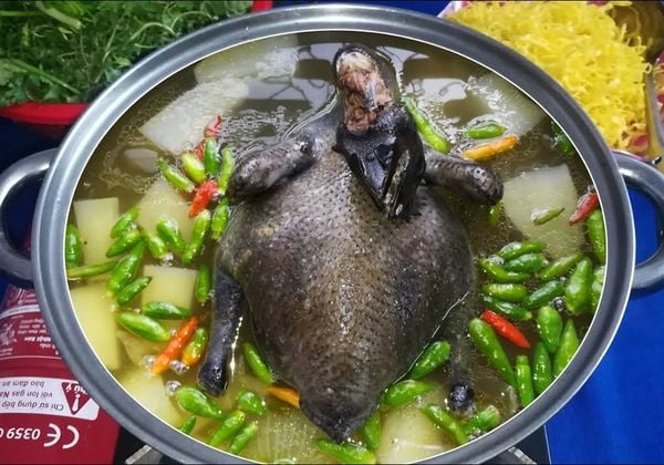 Cách nấu lẩu gà ác và gà chọi bồi bổ sức khỏe cả gia đình