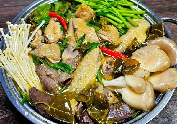Cách nấu lẩu gà lá giang chua thanh hấp dẫn vị giác
