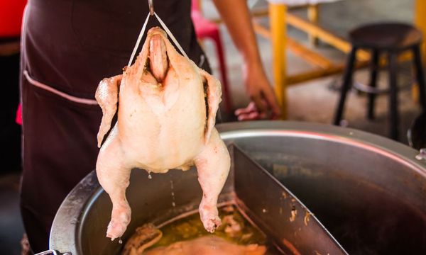 Cần luộc gà bao nhiêu phút để chín đều, ngon hoàn hảo?