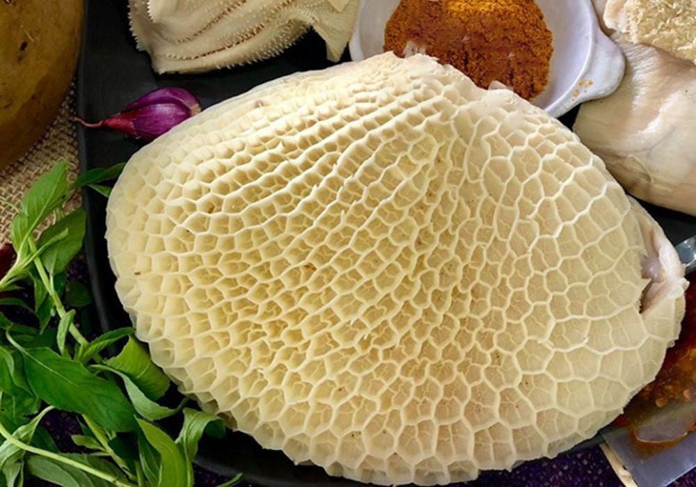Sách bò là một trong bốn ngăn của dạ dày con bò