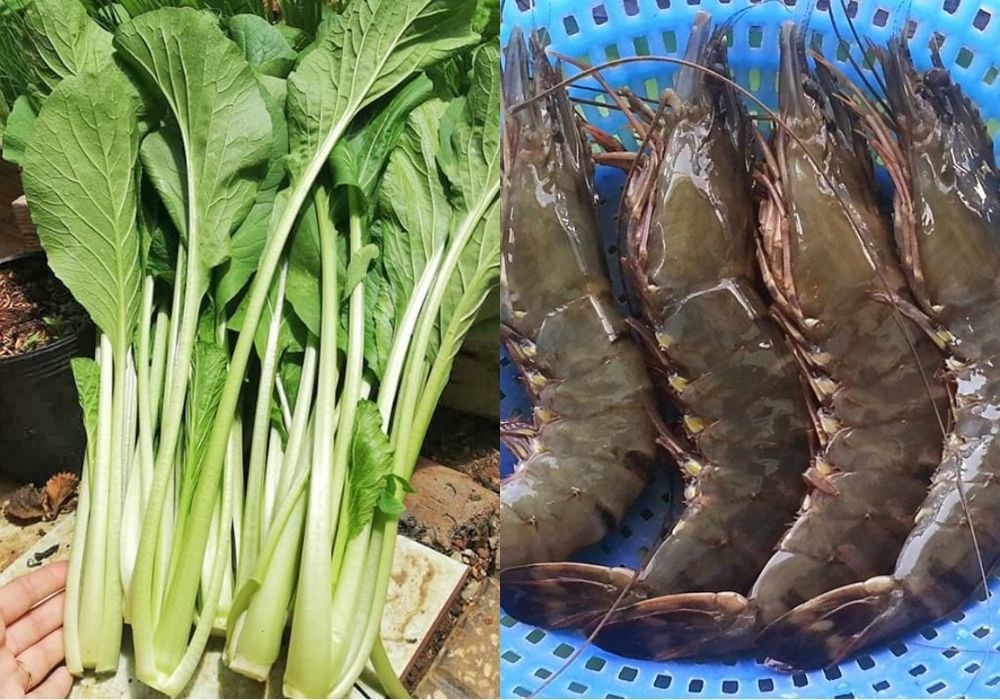 Nguyên liệu làm cải ngọt xào tôm