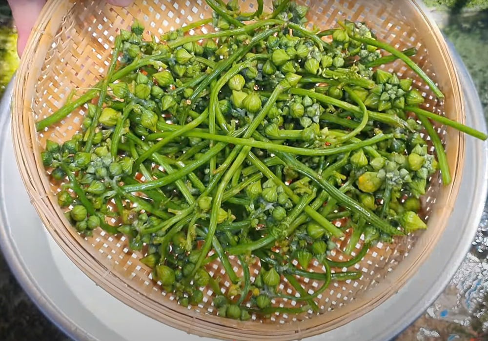 Hướng dẫn chọn mua nguyên liệu tươi ngon