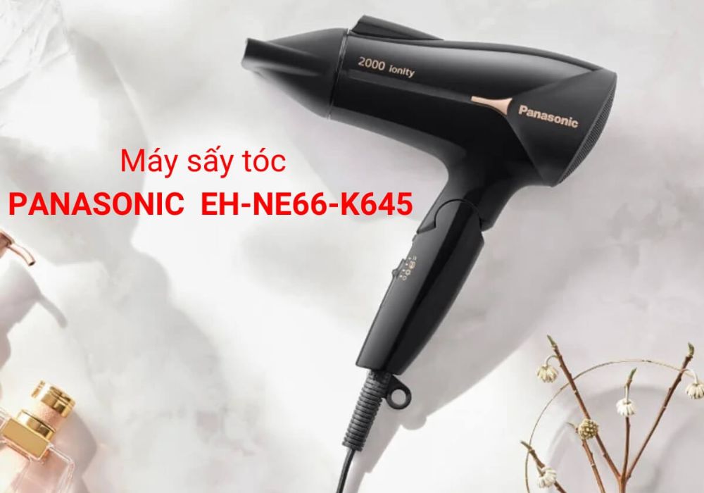 Máy sấy tóc Panasonic EH-NE66-K645