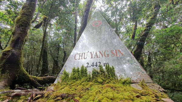 REVIEW TRẢI NGHIỆM  VƯỜN QUỐC GIA CHƯ YANG SIN