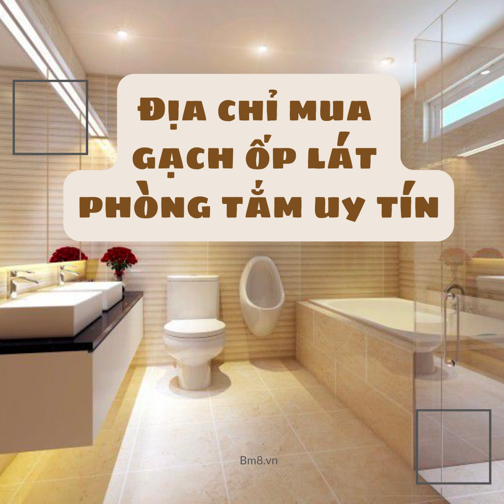 Địa chỉ mua gạch ốp nhà vệ sinh tại Hà Nội uy tín