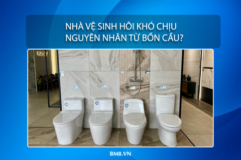 Nhà Vệ Sinh Hôi Khó Chịu – Nguyên Nhân Từ Bồn Cầu?