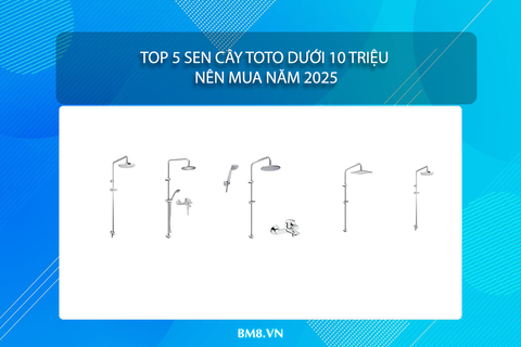 Top 5 sen cây TOTO dưới 10 triệu nên mua năm 2025