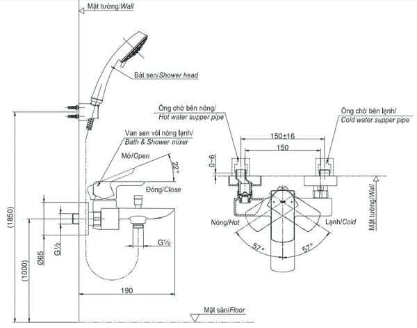 Sen Tắm TOTO TBG02302VA - Bùi Minh