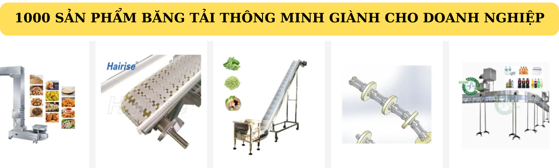 Hệ Thống Băng Tải