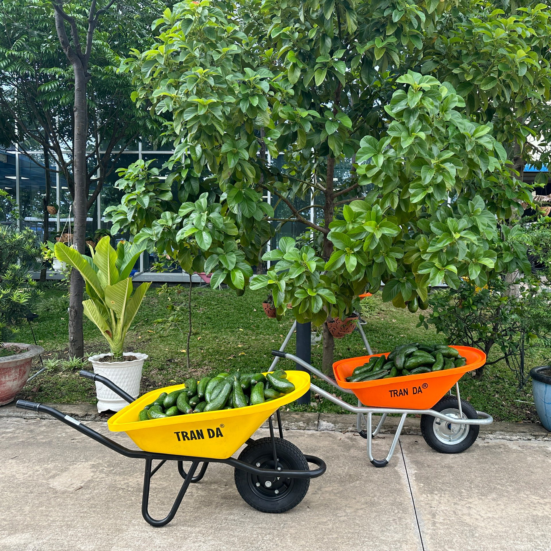 Capture the sustainable consumption trend with environmental friendly wheelbarrow