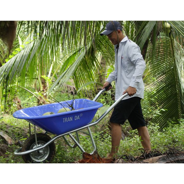 Giải mã bí mật “Xe rùa Tran Da”