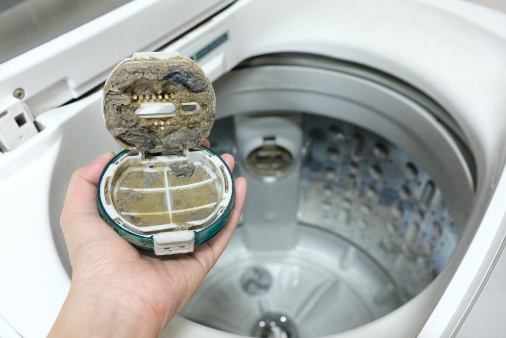 Lồng Giặt Bẩn: Mối Nguy Hại Thầm Lặng Với Sức Khỏe Gia Đình