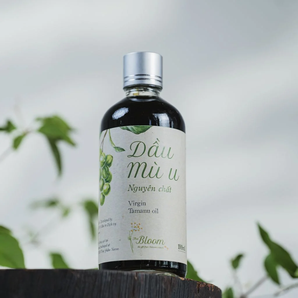 Dầu Mù U - Thức quà lành thời Ông Bà Dầu Mù U - Thức quà lành thời Ông Bà