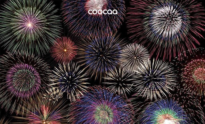 Tết Dương lịch 2024: Lịch nghỉ, bắn pháo hoa ở đâu?