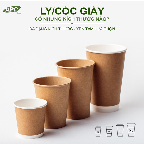 Ly/cốc giấy và tô giấy có những kích thước nào?