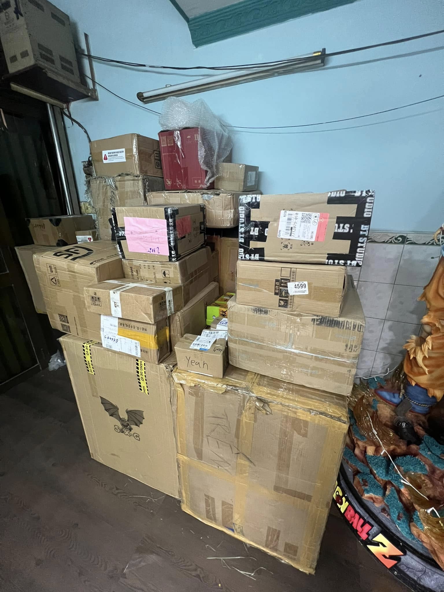 Hàng về 29/02/2024