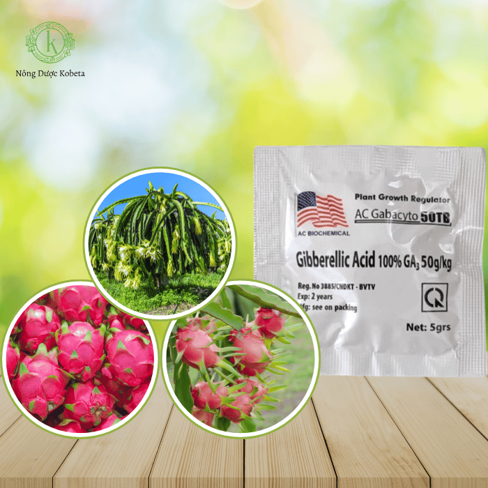 Gibberellic Acid GA3 100% – Chất Kích Thích Sinh Trưởng Toàn Diện Cho Cây Trồng
