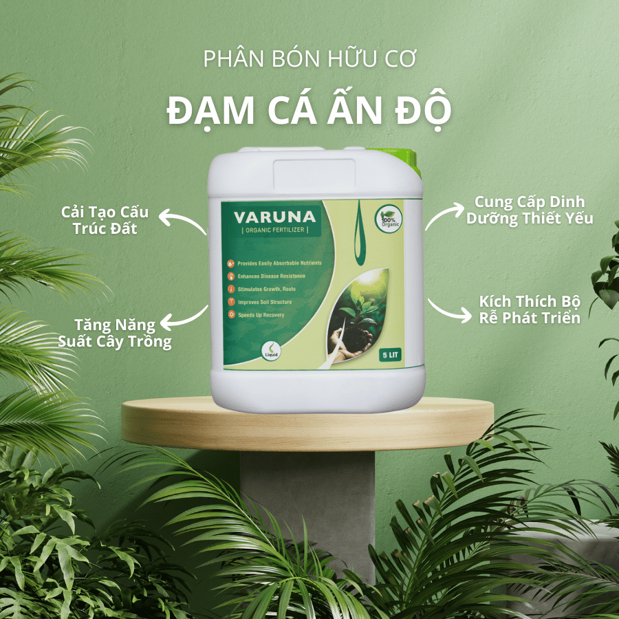 Phân Bón Hữu Cơ Đạm Cá Ấn Độ – Giải Pháp Toàn Diện Cho Nông Nghiệp Bền Vững