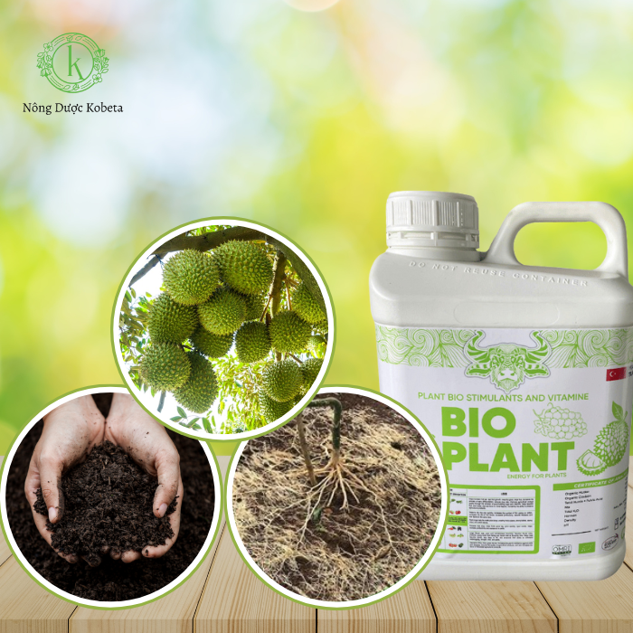 Phân Bón Hữu Cơ Extract Timuseaweed – Tăng Cường Sức Khỏe Đất Và Phát Triển Cây Trồng Tối Ưu