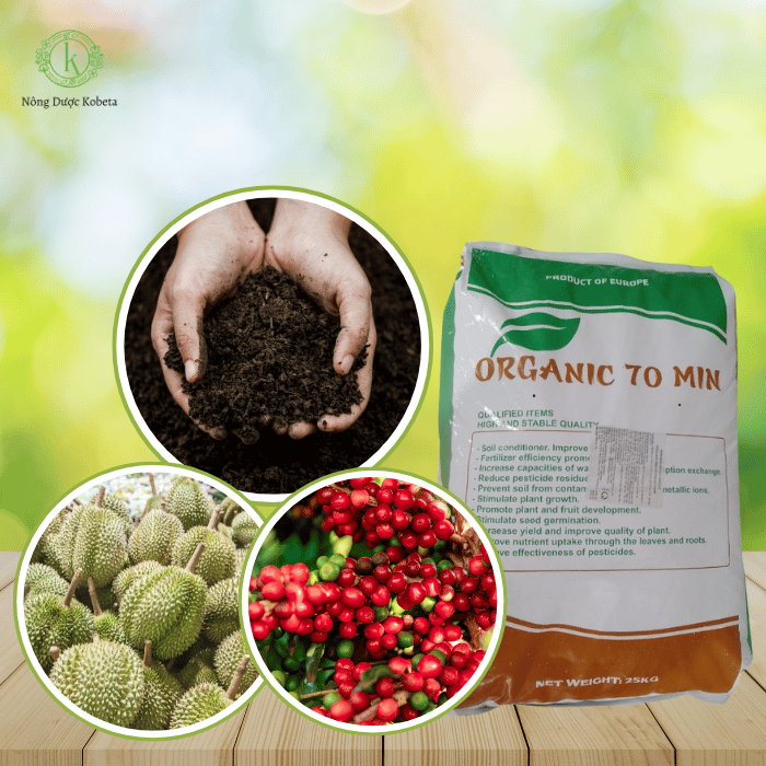 Phân Bón Hữu Cơ Nở Hà Lan Organic 70 MN – Giải Pháp Tối Ưu Tăng Năng Suất Và Chất Lượng Cây Trồng