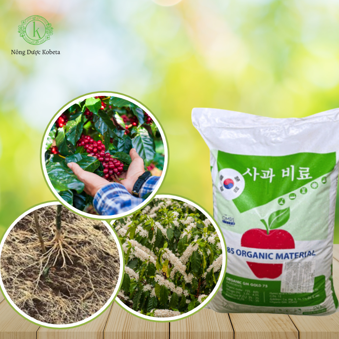 Phân Bón Hữu Cơ Hàn Quốc – Giải Pháp Bền Vững Cho Nông Nghiệp Hiệu Quả Cao
