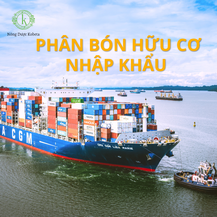 Phân Bón Hữu Cơ Nhập Khẩu: Xu Hướng Mới Cho Nền Nông Nghiệp Hiện Đại