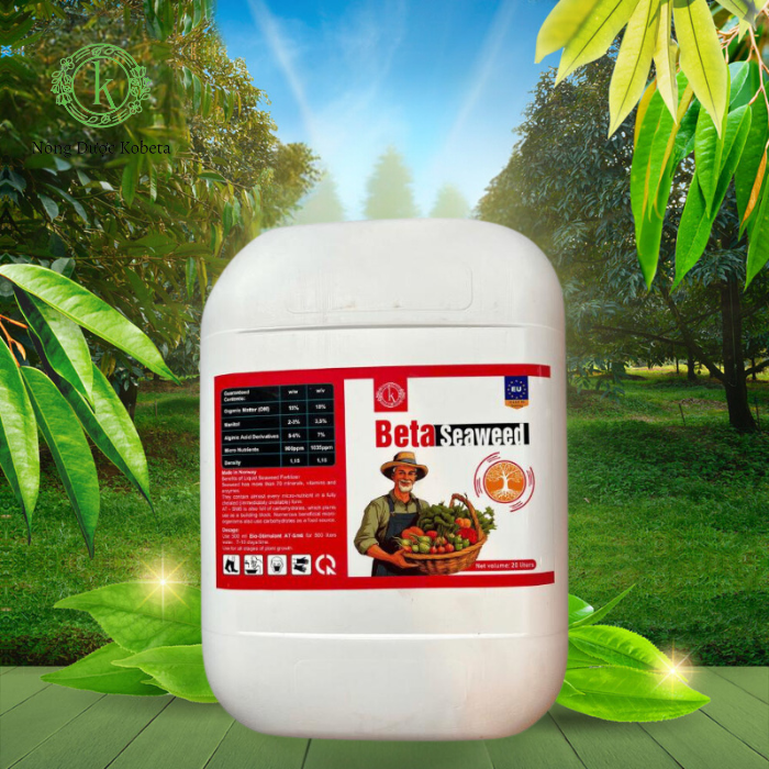 Phân Bón Lá Rong Biển Cao Cấp: Giải Pháp Hữu Cơ Cho Mùa Vụ Bội Thu