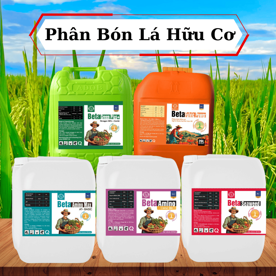 Top 5 Loại Phân Bón Lá Hữu Cơ Tốt Nhất Hiện Nay Cho Mùa Vụ Bội Thu