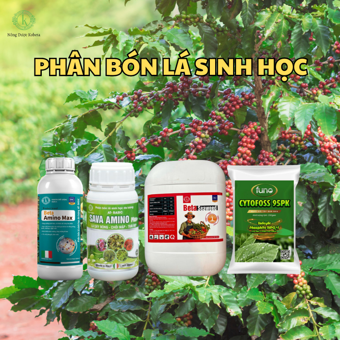 Phân Bón Lá Sinh Học Cao Cấp: Cách Lựa Chọn Và Sử Dụng Để Đạt Hiệu Quả Tối Ưu