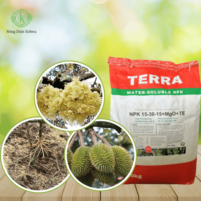 Phân Bón NPK 15-30-15 + MgO + TE – Giải Pháp Tối Ưu Cho Giai Đoạn Ra Hoa, Đậu Quả và Phát Triển Rễ Mạnh Mẽ