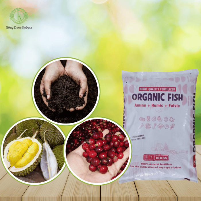 Phân Bón Organic Fish – Cải Tạo Đất, Tăng Đề Kháng và Năng Suất Cho Cây Trồng