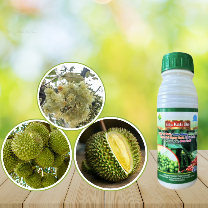 Siêu Kali Bo – Giải Pháp Tăng Cường Đậu Trái, Cải Thiện Chất Lượng Nông Sản Hiệu Quả