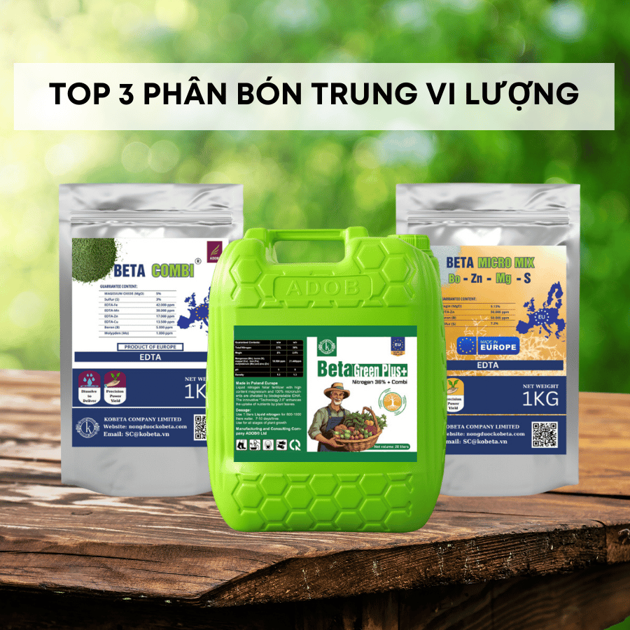 Top 3 phân bón lá trung vi lượng hiệu quả nhất cho cây trồng