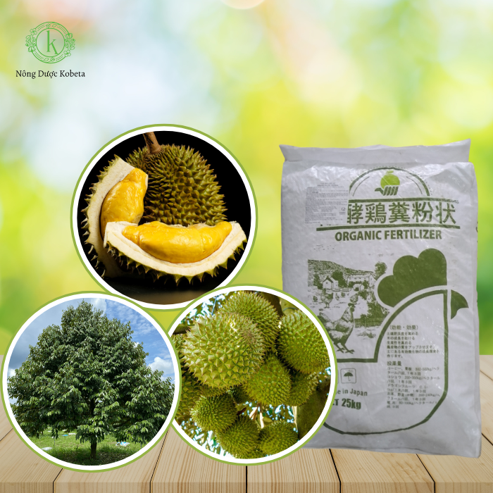 Phân Gà Hữu Cơ Nở Nhật Bản – Giải Pháp Cải Tạo Đất, Tăng Sức Đề Kháng Và Năng Suất Cây Trồng