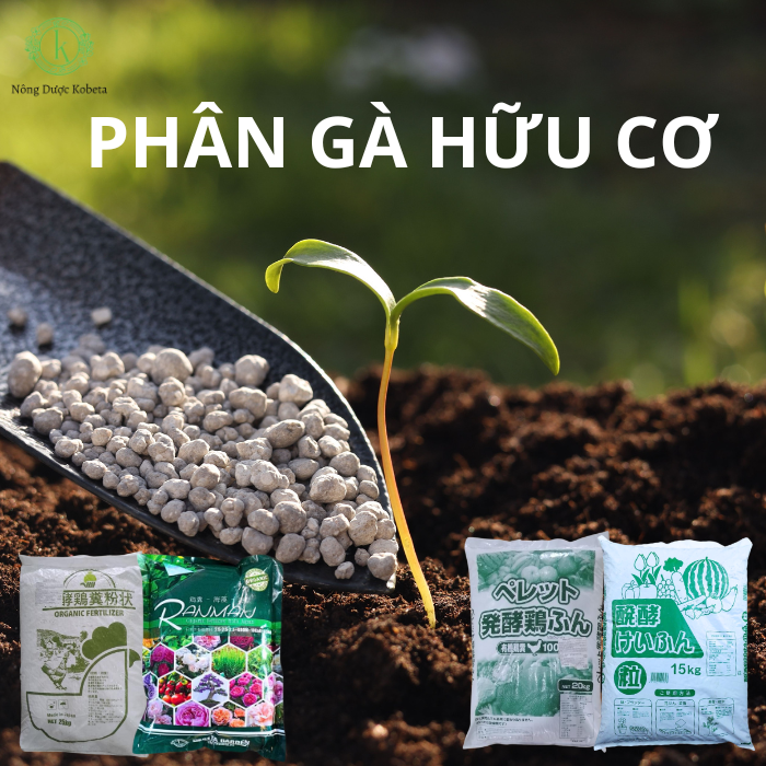 Top 4 Phân Gà Hữu Cơ Tốt Nhất Giúp Cây Trồng Tăng Trưởng Nhanh, Đất Tơi Xốp