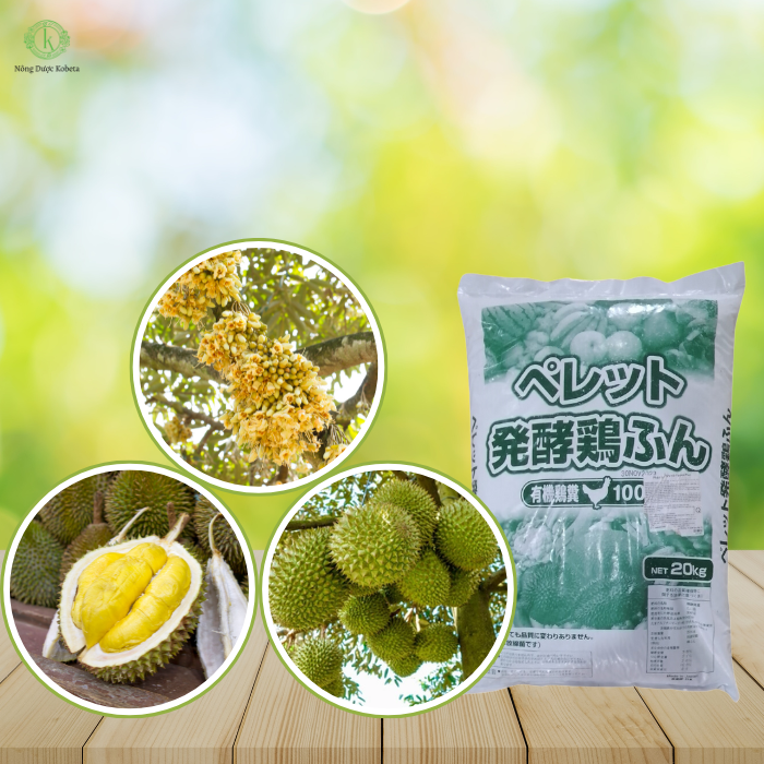 Phân Gà Nở Nhật Bản – Giải Pháp Dinh Dưỡng Hữu Cơ Toàn Diện Cho Cây Trồng