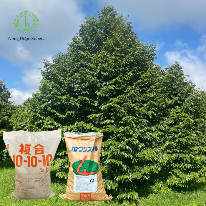 Phân Bón Tan Chậm – Giải Pháp Dinh Dưỡng Hiệu Quả và Bền Vững Cho Cây Trồng