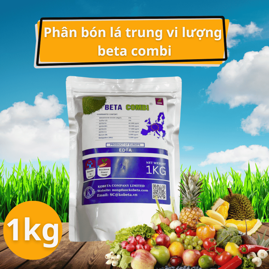 Phân Bón Lá Trung Vi Lượng Beta Combi – Giải Pháp Toàn Diện Cho Sức Khỏe Cây Trồng