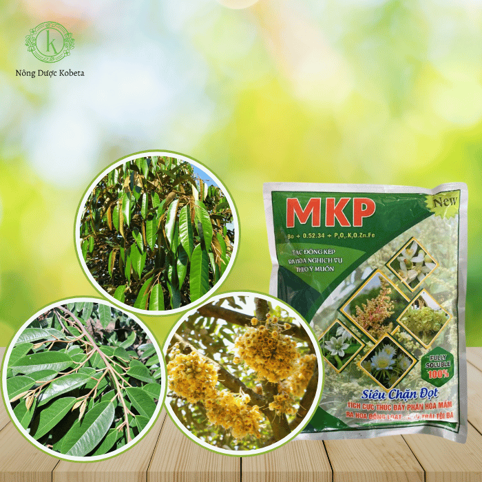 Siêu Chặn Đọt MKP – Chặn Đọt Non, Thúc Lá Già, Tăng Hiệu Quả Ra Hoa và Đậu Quả