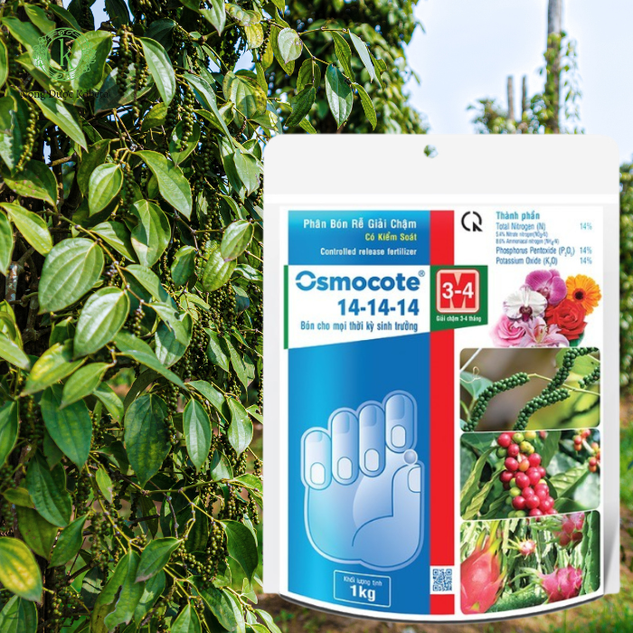 Khám Phá Công Dụng Vượt Trội Của Phân Bón NPK 14-14-14