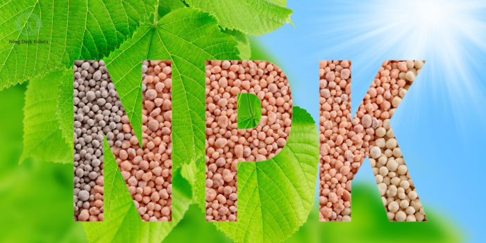 Phân Bón Lá NPK - Giải Pháp Tốt Nhất Cho Cây Trồng