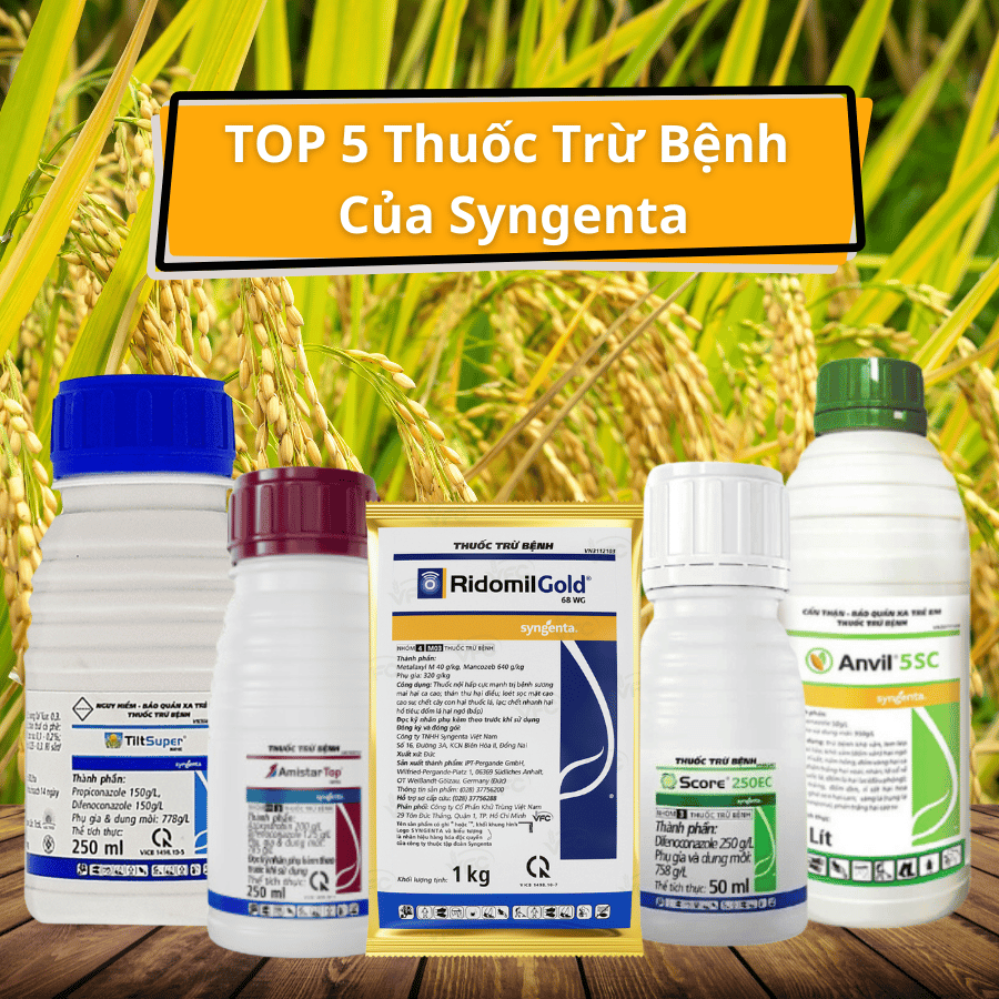 TOP 5 Thuốc Trừ Bệnh Syngenta Nhà Nông Không Thể Bỏ Qua
