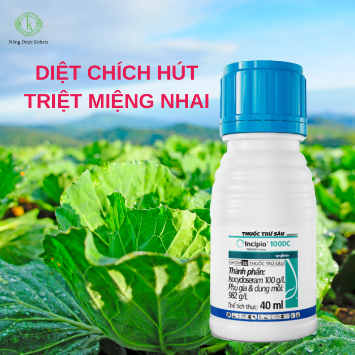 Thuốc Trừ Sâu INCIPIO 100DC – Diệt Chích Hút - Triệt Miệng Nha